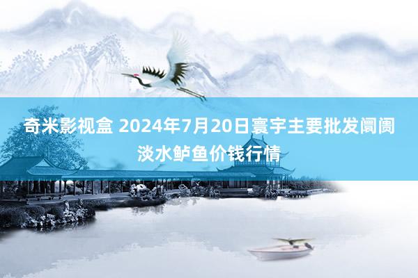 奇米影视盒 2024年7月20日寰宇主要批发阛阓淡水鲈鱼价钱行情