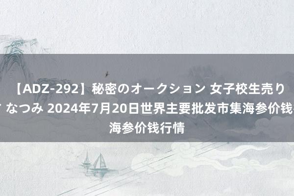 【ADZ-292】秘密のオークション 女子校生売ります なつみ 2024年7月20日世界主要批发市集海参价钱行情