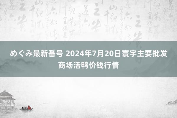 めぐみ最新番号 2024年7月20日寰宇主要批发商场活鸭价钱行情