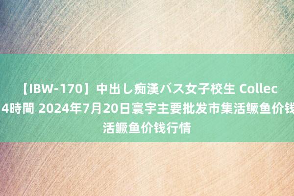 【IBW-170】中出し痴漢バス女子校生 Collection 4時間 2024年7月20日寰宇主要批发市集活鳜鱼价钱行情