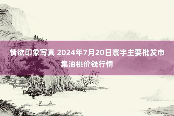 情欲印象写真 2024年7月20日寰宇主要批发市集油桃价钱行情