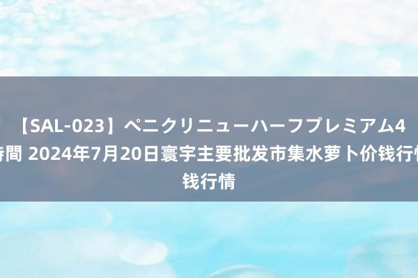 【SAL-023】ペニクリニューハーフプレミアム4時間 2024年7月20日寰宇主要批发市集水萝卜价钱行情