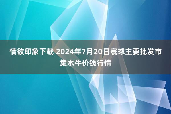 情欲印象下载 2024年7月20日寰球主要批发市集水牛价钱行情