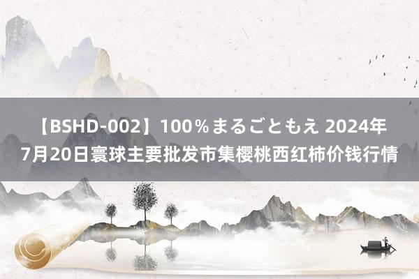 【BSHD-002】100％まるごともえ 2024年7月20日寰球主要批发市集樱桃西红柿价钱行情