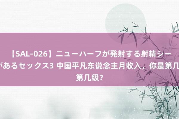 【SAL-026】ニューハーフが発射する射精シーンがあるセックス3 中国平凡东说念主月收入，你是第几级？