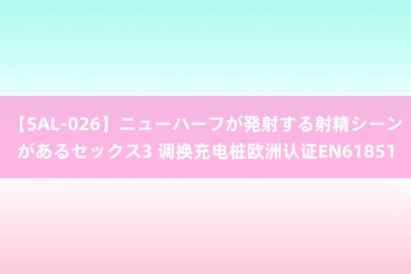 【SAL-026】ニューハーフが発射する射精シーンがあるセックス3 调换充电桩欧洲认证EN61851