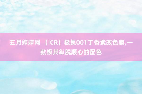 五月婷婷网 【ICR】极氪001丁香紫改色膜，一款极其纵脱顺心的配色