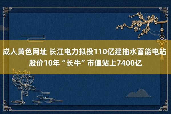 成人黄色网址 长江电力拟投110亿建抽水蓄能电站 股价10年“长牛”市值站上7400亿