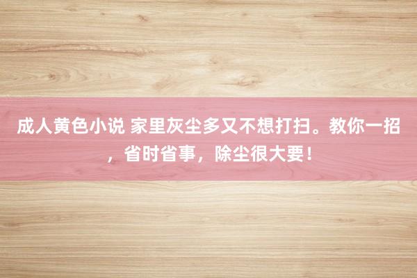 成人黄色小说 家里灰尘多又不想打扫。教你一招，省时省事，除尘很大要！