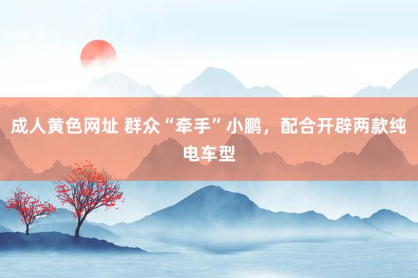 成人黄色网址 群众“牵手”小鹏，配合开辟两款纯电车型