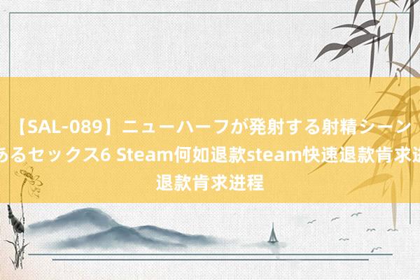 【SAL-089】ニューハーフが発射する射精シーンがあるセックス6 Steam何如退款steam快速退款肯求进程