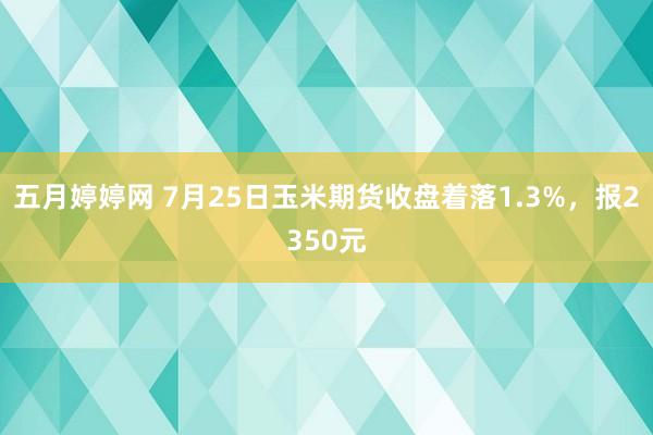 五月婷婷网 7月25日玉米期货收盘着落1.3%，报2350元