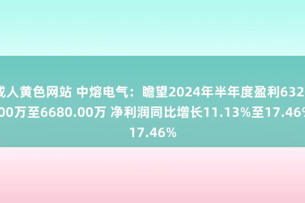 成人黄色网站 中熔电气：瞻望2024年半年度盈利6320.00万至6680.00万 净利润同比增长11.13%至17.46%