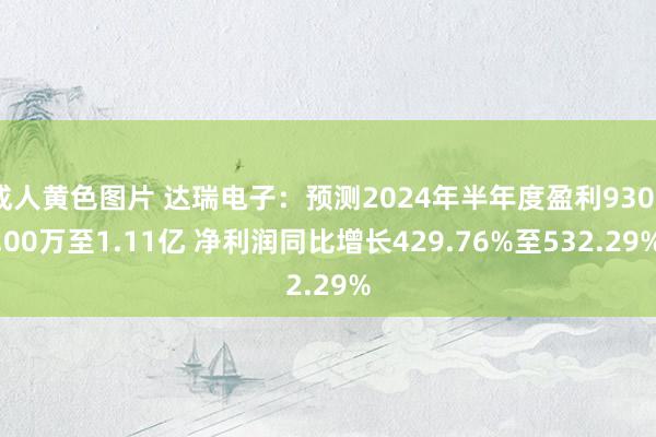 成人黄色图片 达瑞电子：预测2024年半年度盈利9300.00万至1.11亿 净利润同比增长429.76%至532.29%