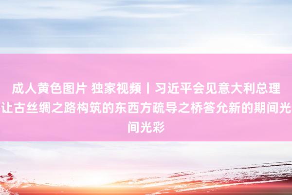 成人黄色图片 独家视频丨习近平会见意大利总理：让古丝绸之路构筑的东西方疏导之桥答允新的期间光彩