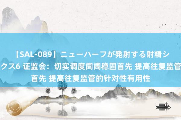 【SAL-089】ニューハーフが発射する射精シーンがあるセックス6 证监会：切实调度阛阓稳固首先 提高往复监管的针对性有用性