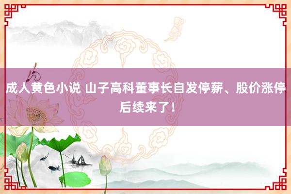 成人黄色小说 山子高科董事长自发停薪、股价涨停 后续来了！