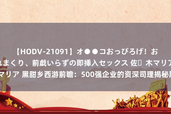 【HODV-21091】オ●●コおっぴろげ！お姉ちゃん 四六時中濡れまくり、前戯いらずの即挿入セックス 佐々木マリア 黑甜乡西游前瞻：500强企业的资深司理揭秘黑甜乡改日改革标的