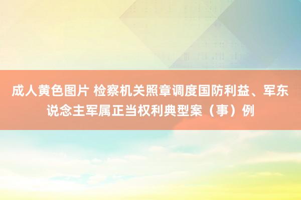 成人黄色图片 检察机关照章调度国防利益、军东说念主军属正当权利典型案（事）例