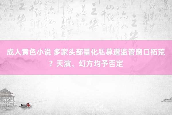 成人黄色小说 多家头部量化私募遭监管窗口拓荒？天演、幻方均予否定