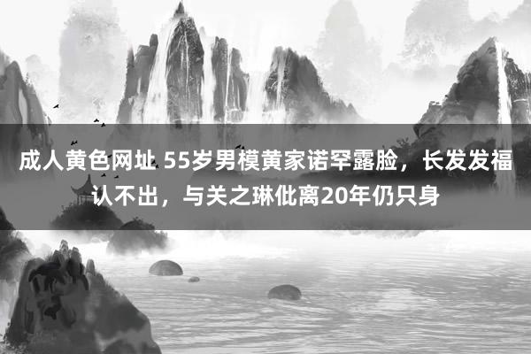 成人黄色网址 55岁男模黄家诺罕露脸，长发发福认不出，与关之琳仳离20年仍只身