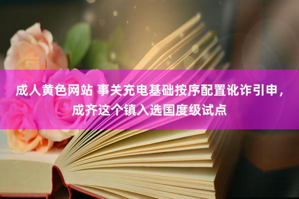 成人黄色网站 事关充电基础按序配置讹诈引申，成齐这个镇入选国度级试点