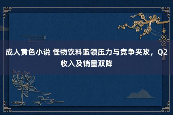 成人黄色小说 怪物饮料蓝领压力与竞争夹攻，Q2收入及销量双降