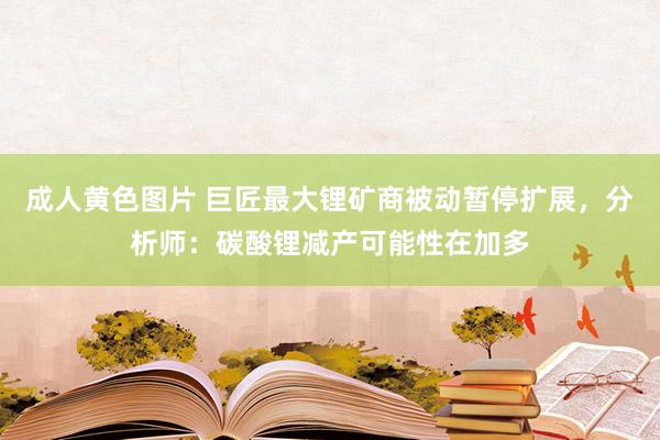 成人黄色图片 巨匠最大锂矿商被动暂停扩展，分析师：碳酸锂减产可能性在加多