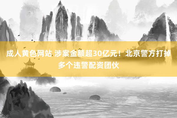 成人黄色网站 涉案金额超30亿元！北京警方打掉多个违警配资团伙