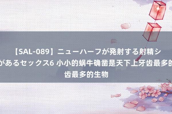 【SAL-089】ニューハーフが発射する射精シーンがあるセックス6 小小的蜗牛确凿是天下上牙齿最多的生物