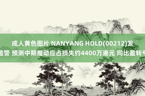 成人黄色图片 NANYANG HOLD(00212)发盈警 预测中期推动应占损失约4400万港元 同比盈转亏