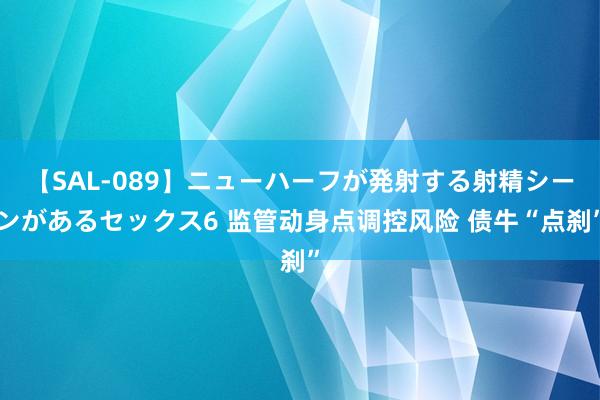 【SAL-089】ニューハーフが発射する射精シーンがあるセックス6 监管动身点调控风险 债牛“点刹”