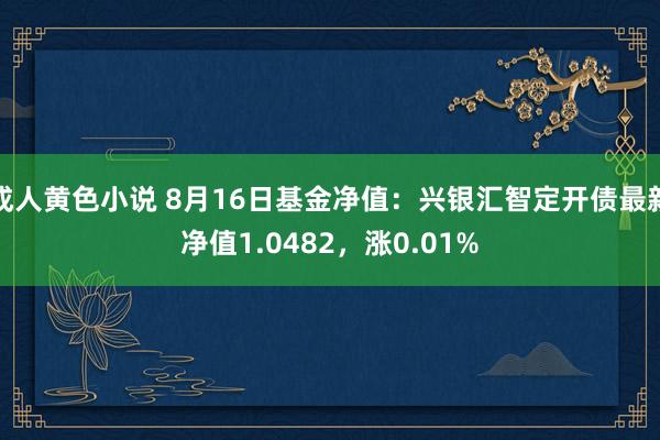 成人黄色小说 8月16日基金净值：兴银汇智定开债最新净值1.0482，涨0.01%