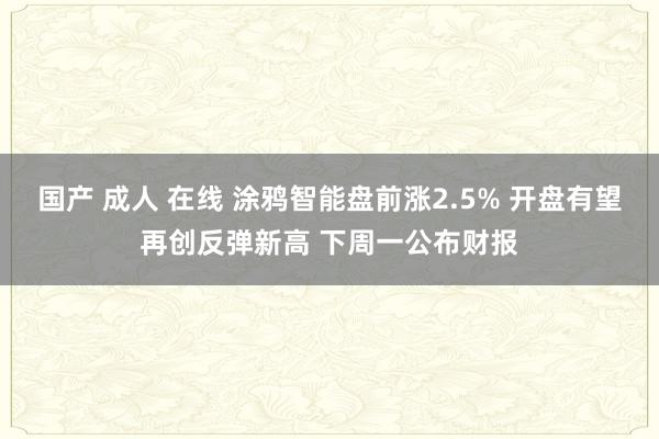 国产 成人 在线 涂鸦智能盘前涨2.5% 开盘有望再创反弹新高 下周一公布财报