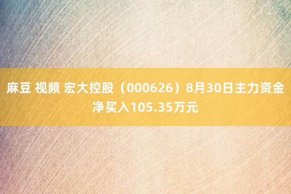 麻豆 视频 宏大控股（000626）8月30日主力资金净买入105.35万元