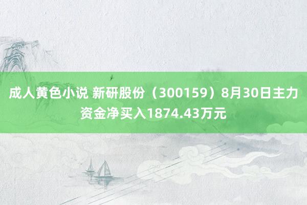 成人黄色小说 新研股份（300159）8月30日主力资金净买入1874.43万元