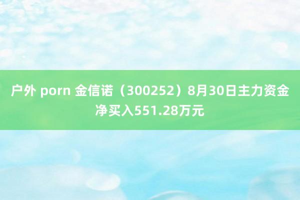 户外 porn 金信诺（300252）8月30日主力资金净买入551.28万元