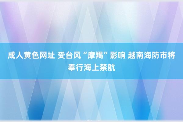 成人黄色网址 受台风“摩羯”影响 越南海防市将奉行海上禁航