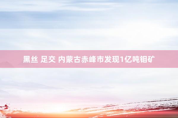 黑丝 足交 内蒙古赤峰市发现1亿吨钼矿