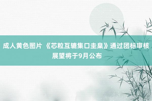 成人黄色图片 《芯粒互辘集口圭臬》通过团标审核 展望将于9月公布