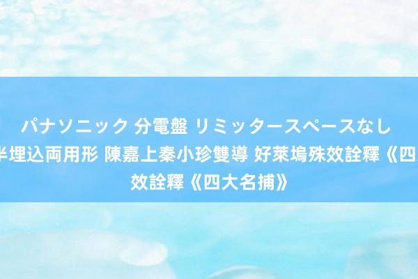 パナソニック 分電盤 リミッタースペースなし 露出・半埋込両用形 陳嘉上秦小珍雙導 好萊塢殊效詮釋《四大名捕》