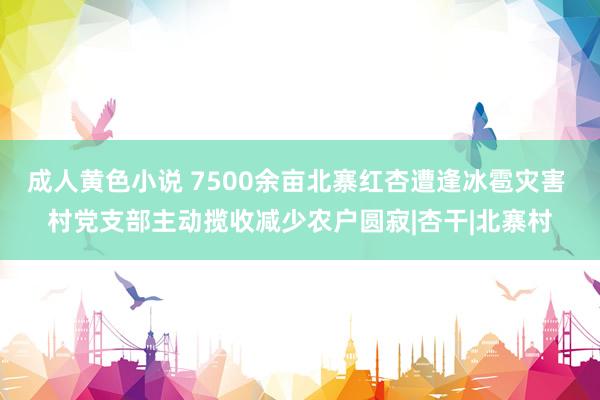 成人黄色小说 7500余亩北寨红杏遭逢冰雹灾害 村党支部主动揽收减少农户圆寂|杏干|北寨村