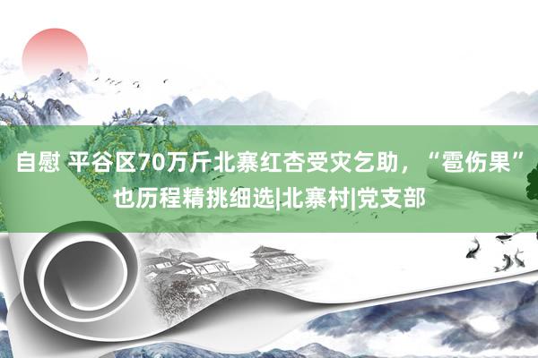 自慰 平谷区70万斤北寨红杏受灾乞助，“雹伤果”也历程精挑细选|北寨村|党支部