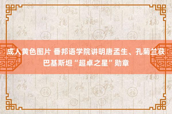 成人黄色图片 番邦语学院讲明唐孟生、孔菊兰获巴基斯坦“超卓之星”勋章