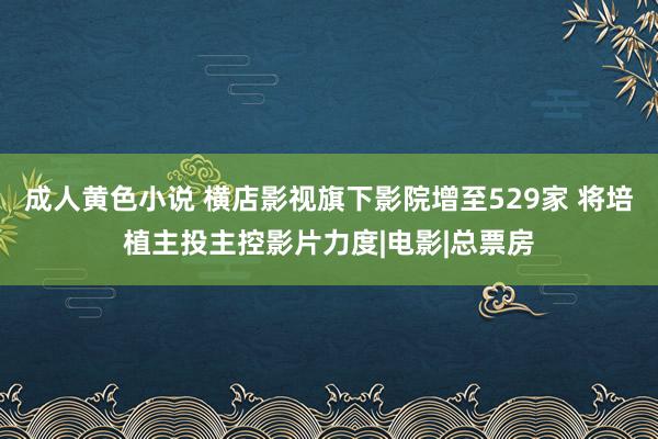 成人黄色小说 横店影视旗下影院增至529家 将培植主投主控影片力度|电影|总票房