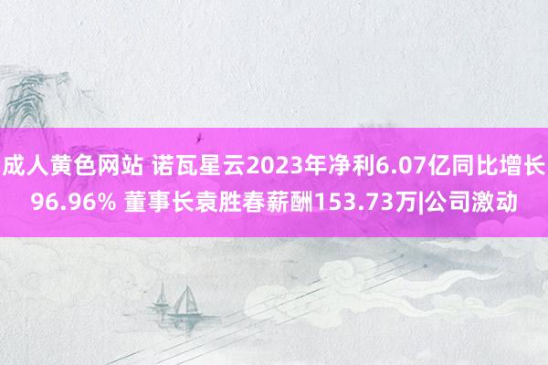 成人黄色网站 诺瓦星云2023年净利6.07亿同比增长96.96% 董事长袁胜春薪酬153.73万|公司激动