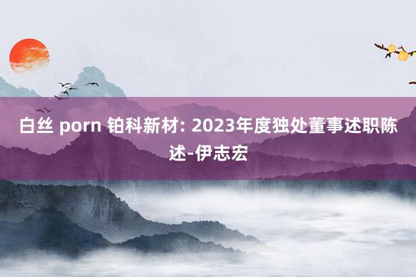 白丝 porn 铂科新材: 2023年度独处董事述职陈述-伊志宏