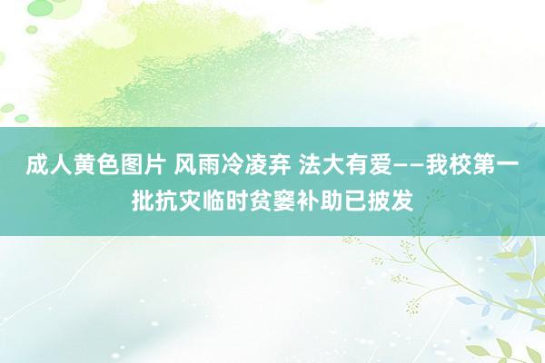 成人黄色图片 风雨冷凌弃 法大有爱——我校第一批抗灾临时贫窭补助已披发