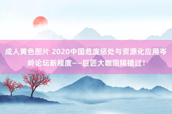 成人黄色图片 2020中国危废惩处与资源化应用岑岭论坛新程度——巨匠大咖阻隔错过！