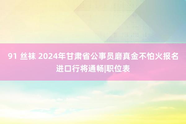 91 丝袜 2024年甘肃省公事员磨真金不怕火报名进口行将通畅|职位表